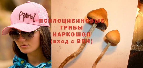 мяу мяу мука Алзамай