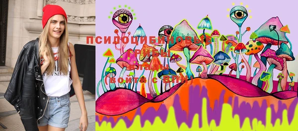 метамфетамин Алексеевка