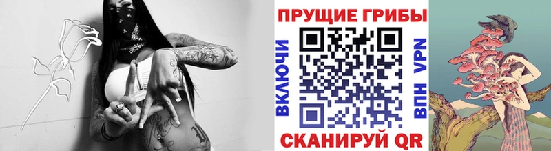 Псилоцибиновые грибы GOLDEN TEACHER Псков