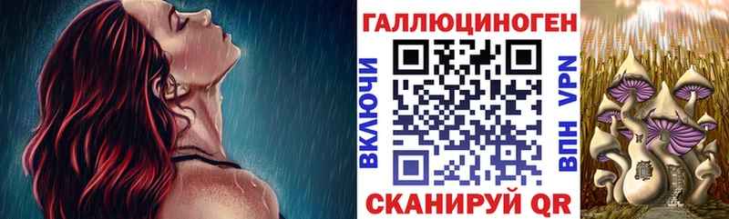 Псилоцибиновые грибы прущие грибы  Псков 